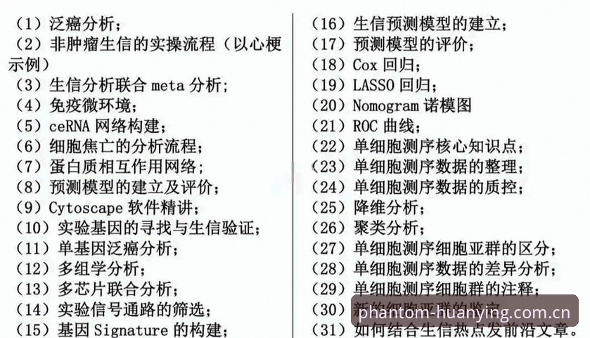 幻影体育平台体验详解：从注册到使用的全流程指南